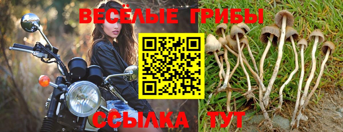Галлюциногенные грибы мухоморы  Псилоцибиновые грибы Psilocybe  Вход с VPN  Белорецк 