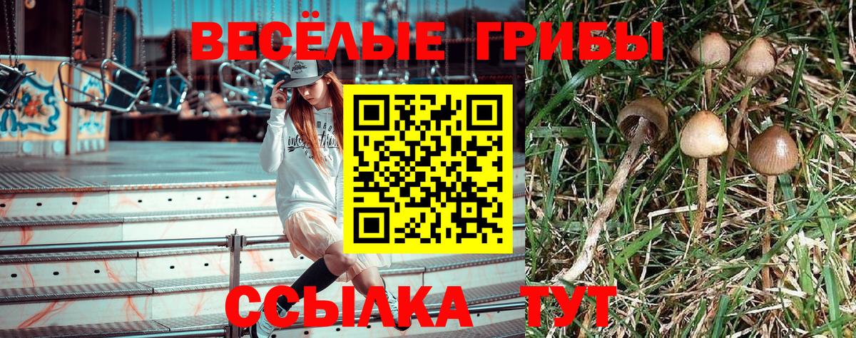 Галлюциногенные грибы MAGIC MUSHROOMS Белорецк
